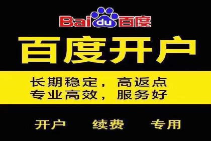 成功案例：百度包年竞价如何助力电商发展
